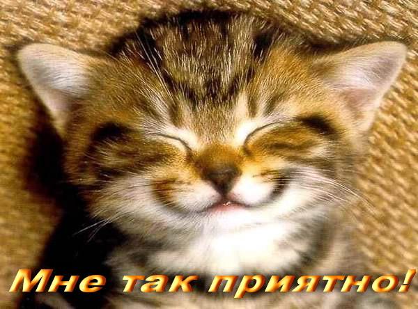 С 8 марта!
