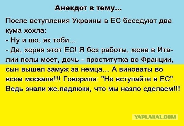 Бандерлоги, ховайтесь!