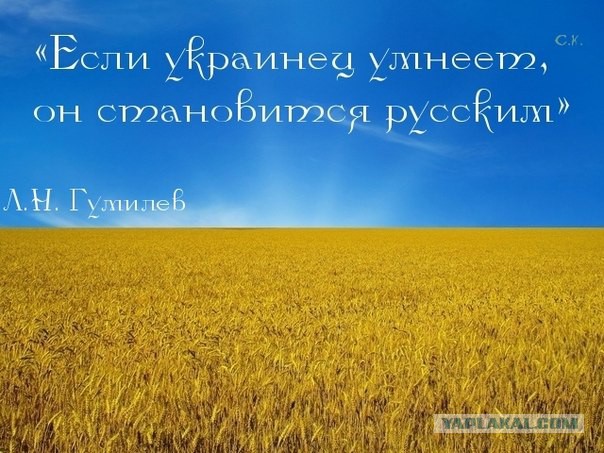 Доклад главе ЦРУ