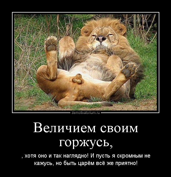 Демотиваторы.