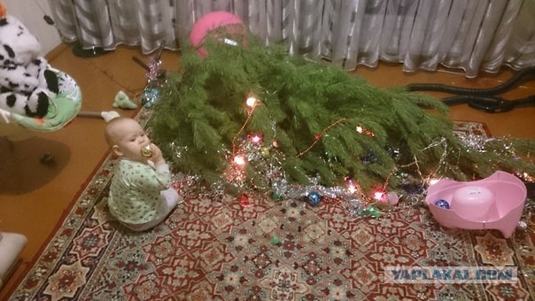 Веселые картинки