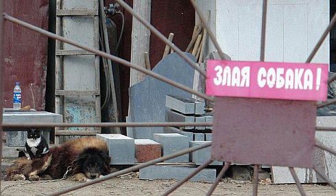Улыбнемся в понедельник!