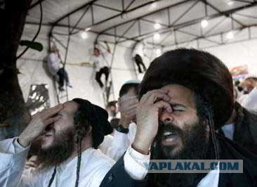 Свой среди своих