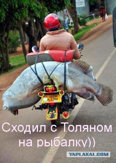 Такое возможно только в Азии