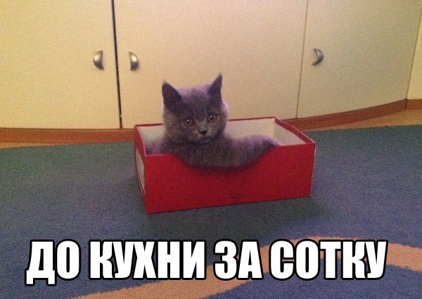 Картинки из сети
