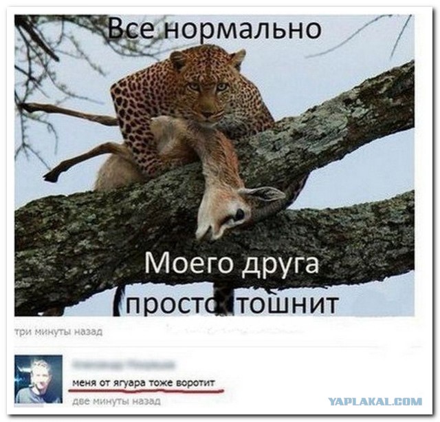 Гаити. 20 дней в аду