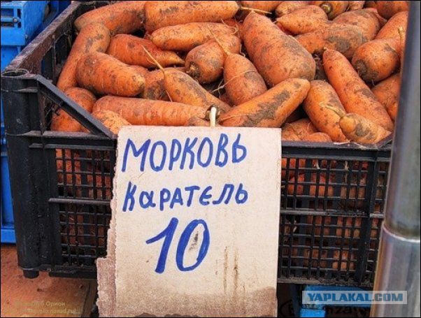 Надписи