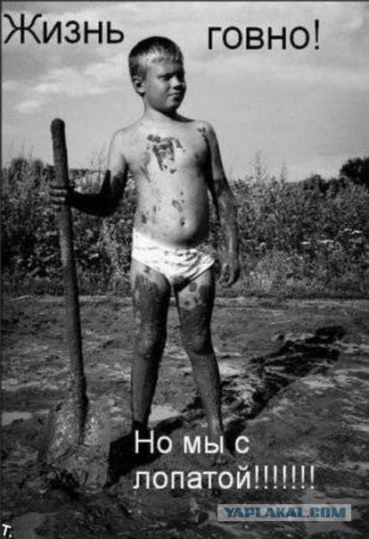 Немного демотиваторов