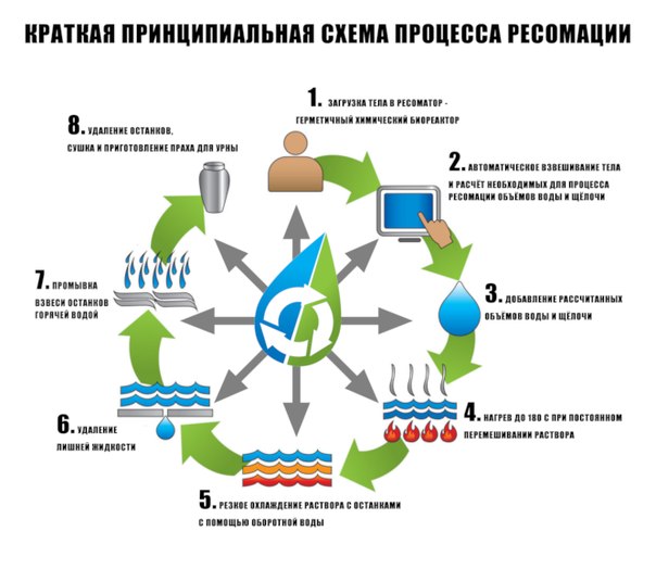 Выбирайте себе гроб