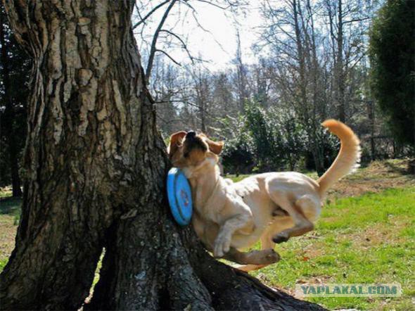 Бывают в жизни огорчения..