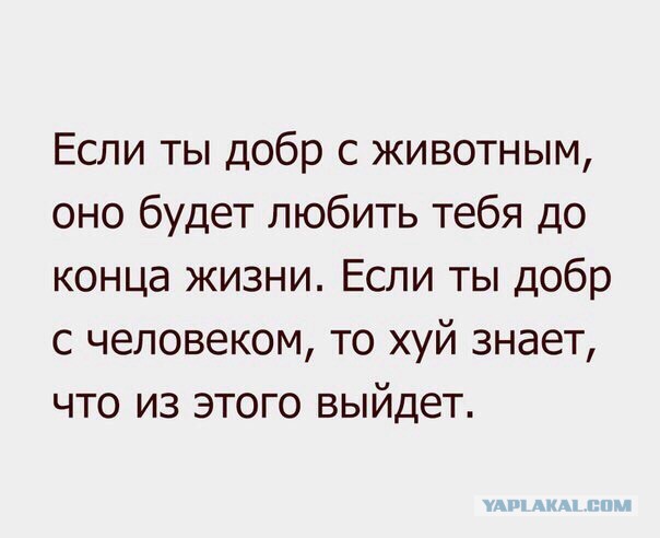 Картинки на пятницу