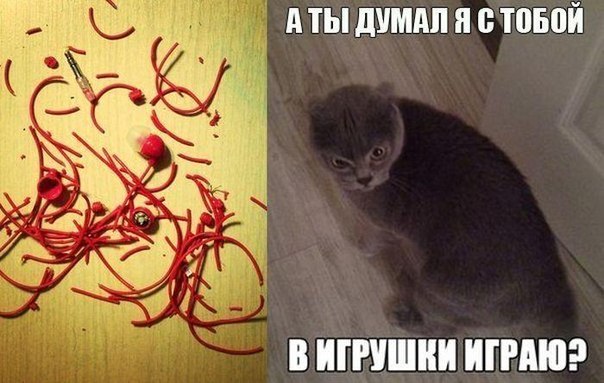 Картинки и демотиваторы