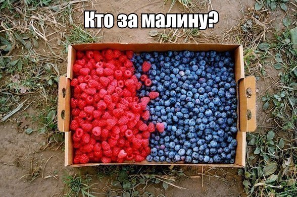 Подборка Картинок из сети