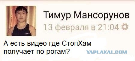 СтопХам обратная сторона