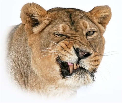 Интересные и смешные картинки!