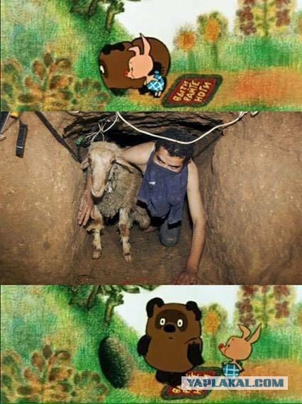 Винни Пух про бухло