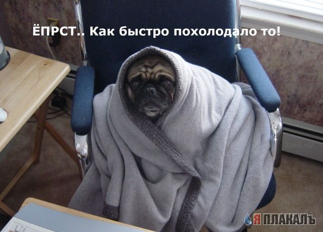 Зима пришла