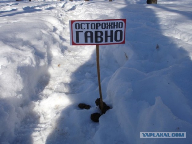 А ведь Капитан Очевидность не дремлет!