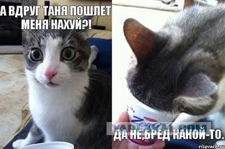 Ищу красавицу с ЯП!