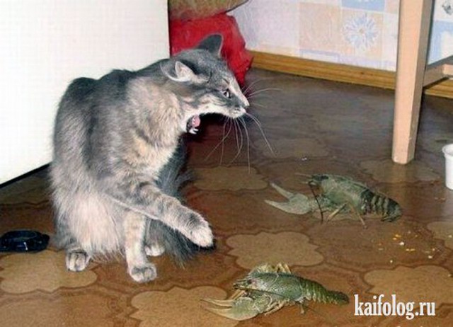 Фотки всякие разные...