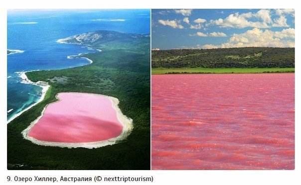 Моменты, запечатлённые на фото и просто позитив 5