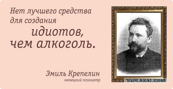 Пьяное быдло на мерседесе