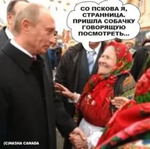 Едут из Омска к Путину в Москву