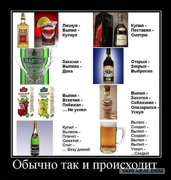Алко-тест