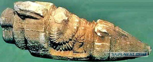 История, где-то ты нас кидаешь!