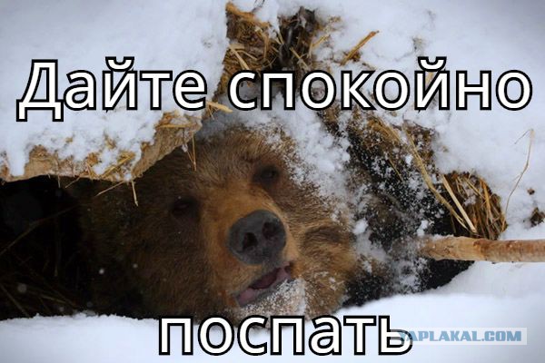 Сказка  закончилась  очень быстро