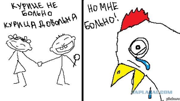 В поющую Шурыгину кинули живой курицей