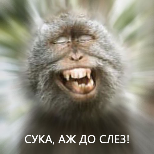 Подборка картинок. Забавных, прикольных - разных!