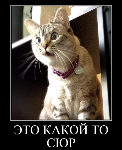 Суп музыкальный, макароны пофлоДский и другие аппетитные блюда нашей столовой
