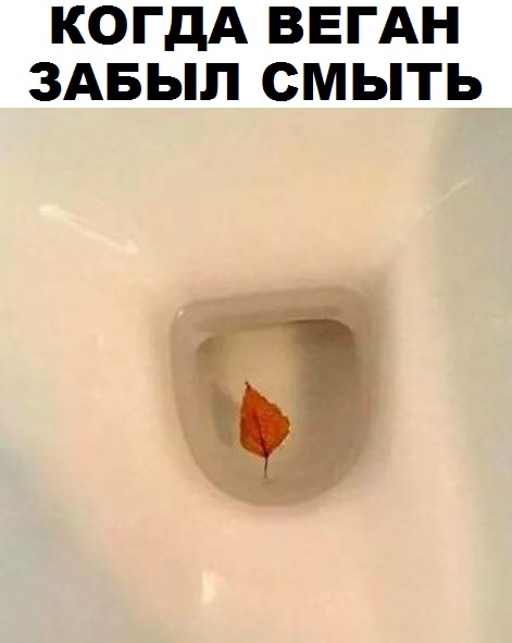Подборка интересных и веселых картинок 16.10.18