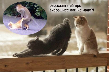 Соблазняет