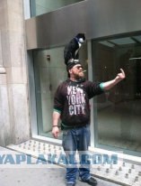 Гламурным кисам на заметку