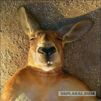 Крошка, иди ко мне