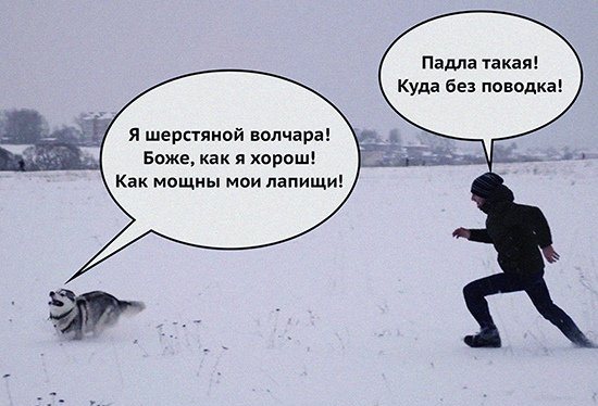 Скутерист и наездница