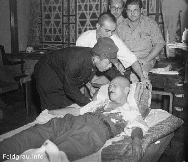 Интересные и редкие фотографии