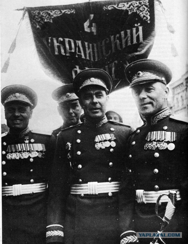 На широкий экран в обход патрулей