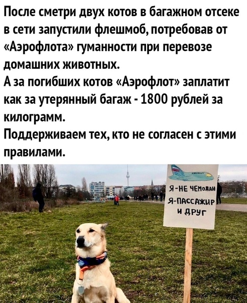 Немного картинок для настроения 28.01.20