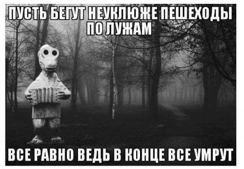 Немного картинок для настроения 30.03.20