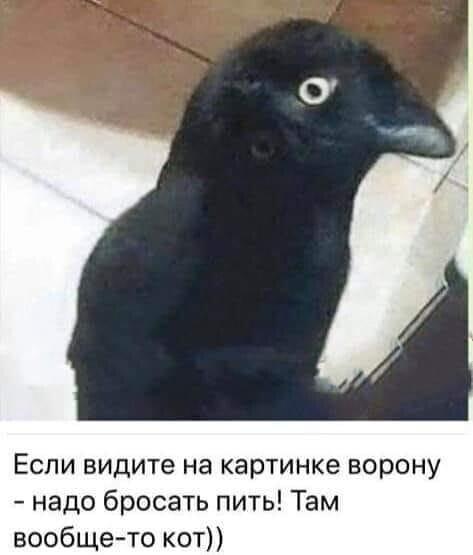 Немного картинок для настроения 02.06.20