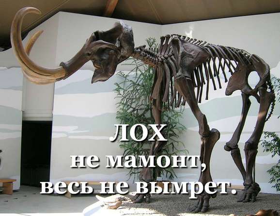 Мошенники чуть-чуть изменили подход