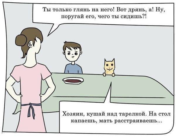 Бредзона 03.11.2020