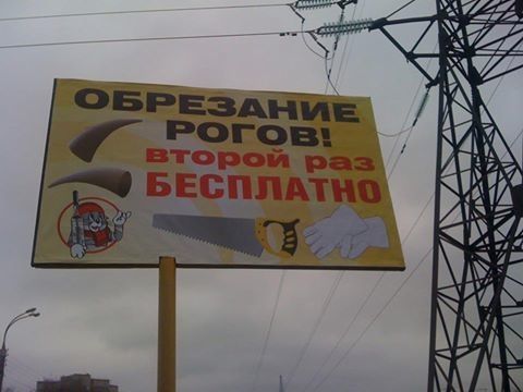 Картинки с надписями с претензией на тонкий юмор