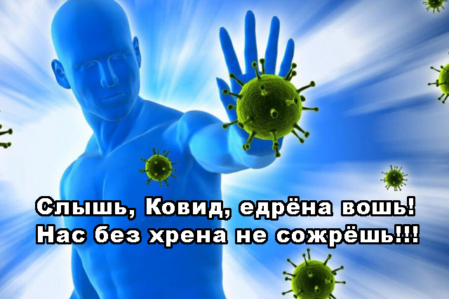 Профессор Ольга Акимушкина: коллективного иммунитета при коронавирусах не бывает