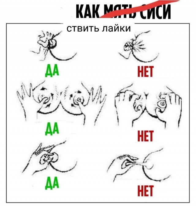 14 фактов о груди, часть 1