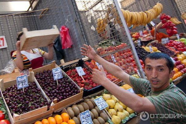 Член госдумы объяснил, почему выращивать картошку невыгодно