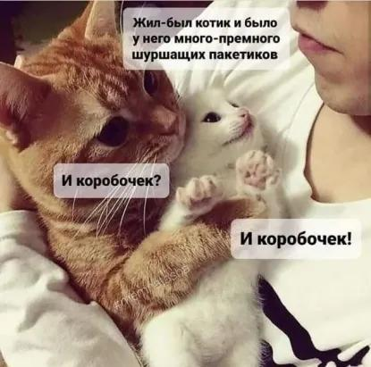 Ты видела его КТ?